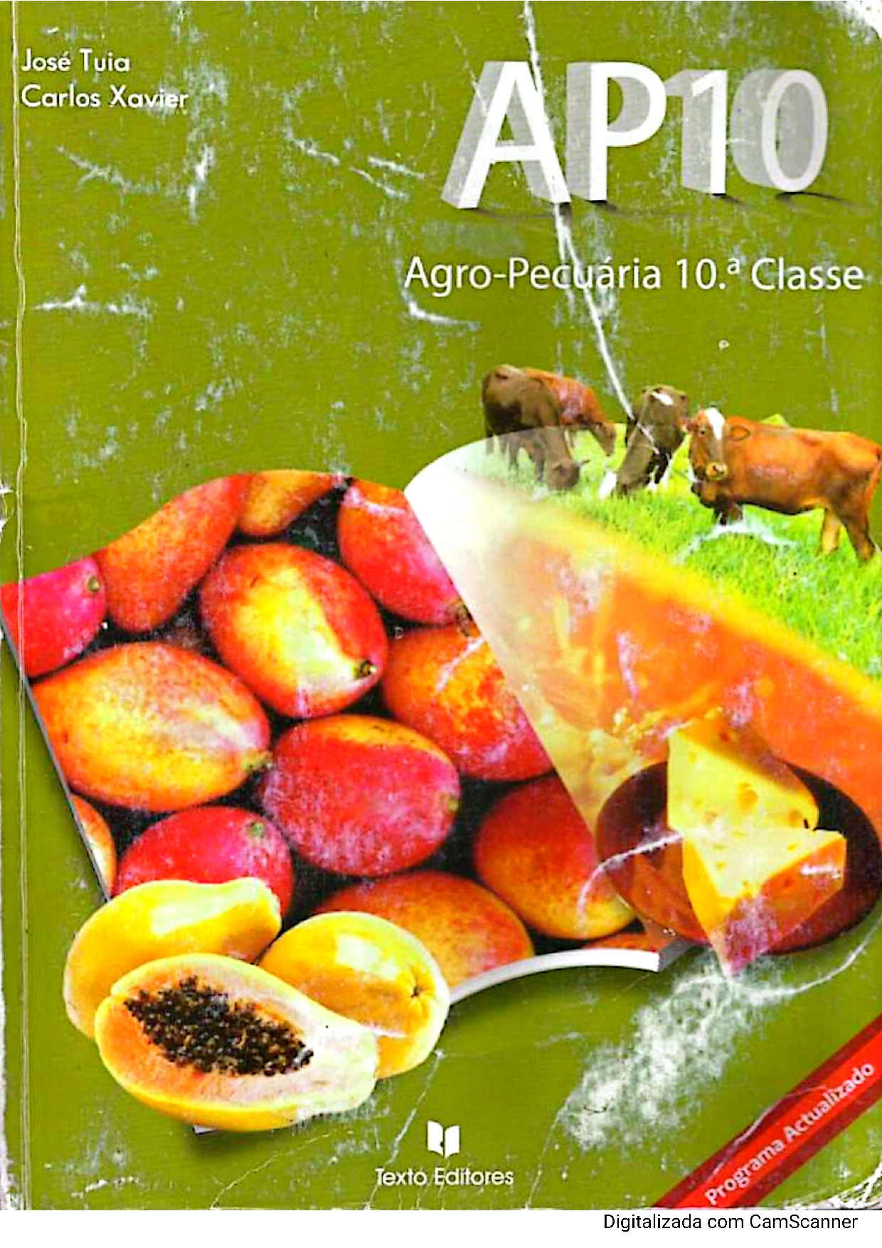 AgroPecuária da 10ª Classe (Texto Editores – Moçambique; 2011) Baixar Livro em PDF
