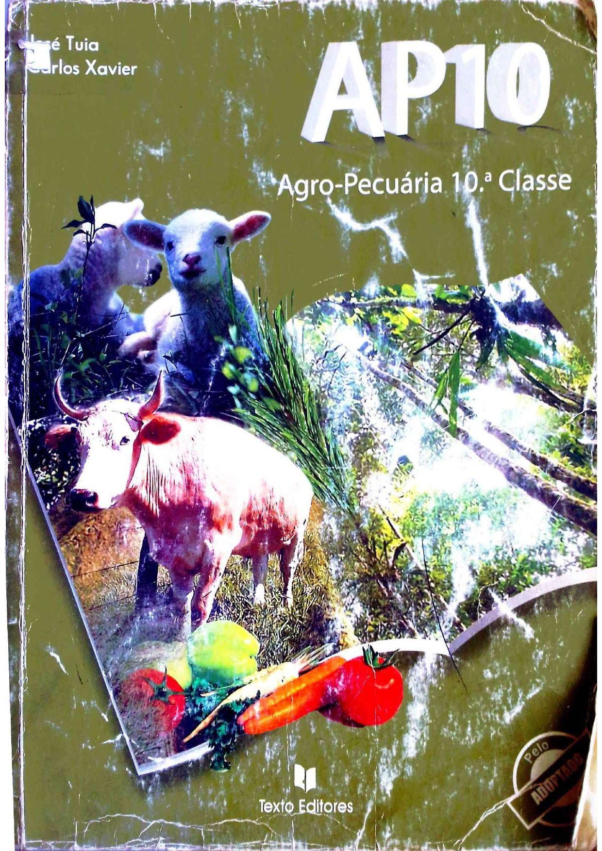 Agropecuária da 10ª Classe (Texto Editores – Moçambique; 2014) Baixar Livro em PDF
