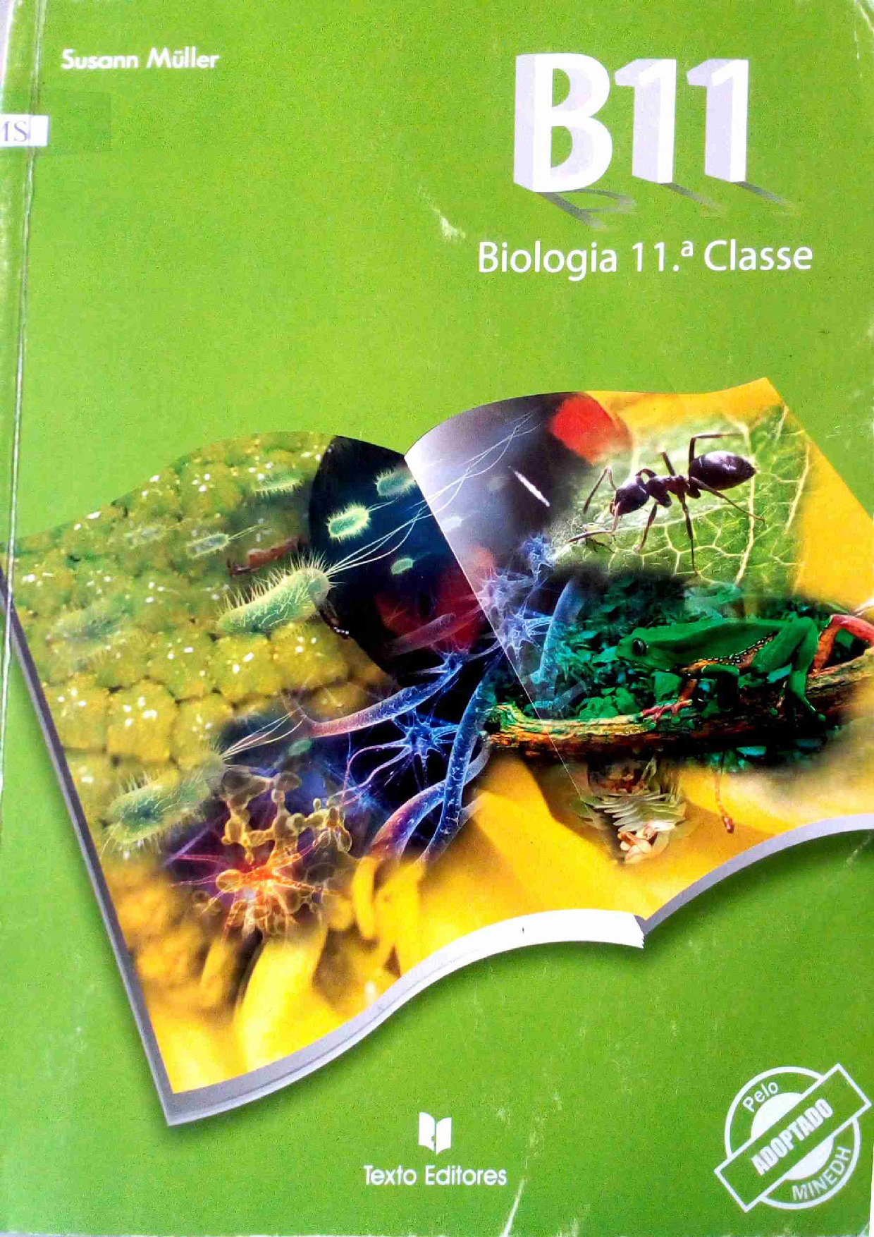 Biologia da 11ª Classe (Texto Editores – Moçambique) Baixar Livro em PDF
