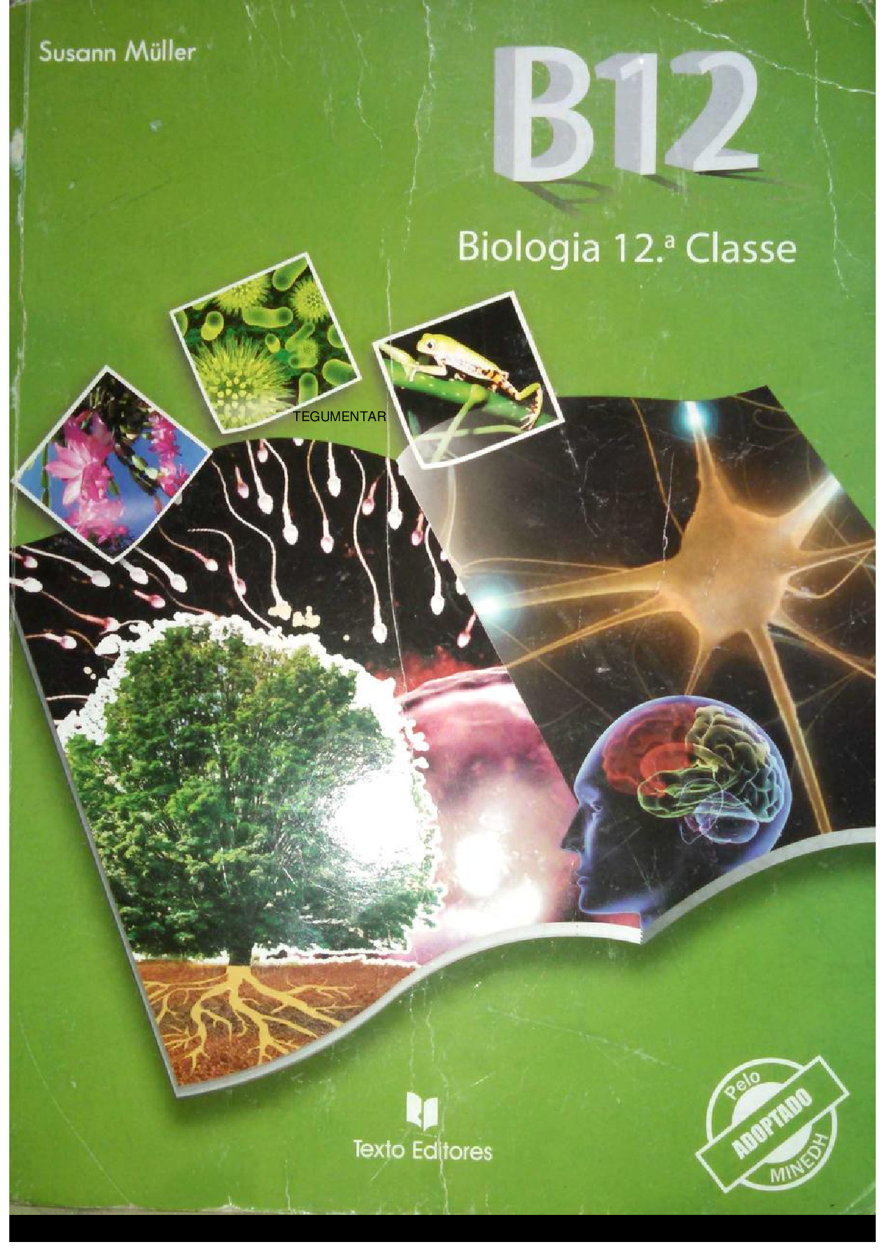 Biologia da 12ª Classe [Texto Editores – Moçambique, 2013] Baixar Livro em PDF