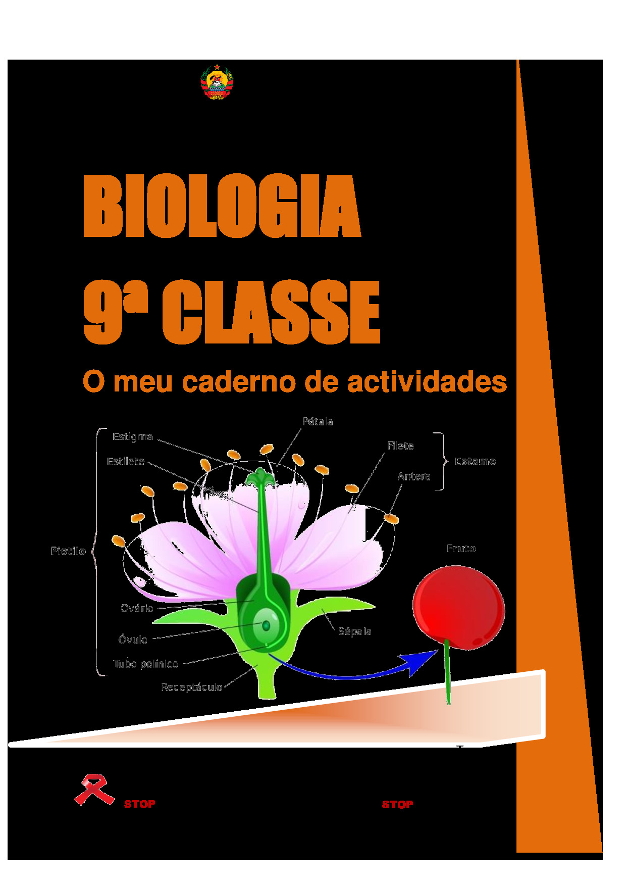 Biologia da 9ª Classe (O Meu Caderno de Actividades - Moçambique; 2021) Baixar Livro em PDF