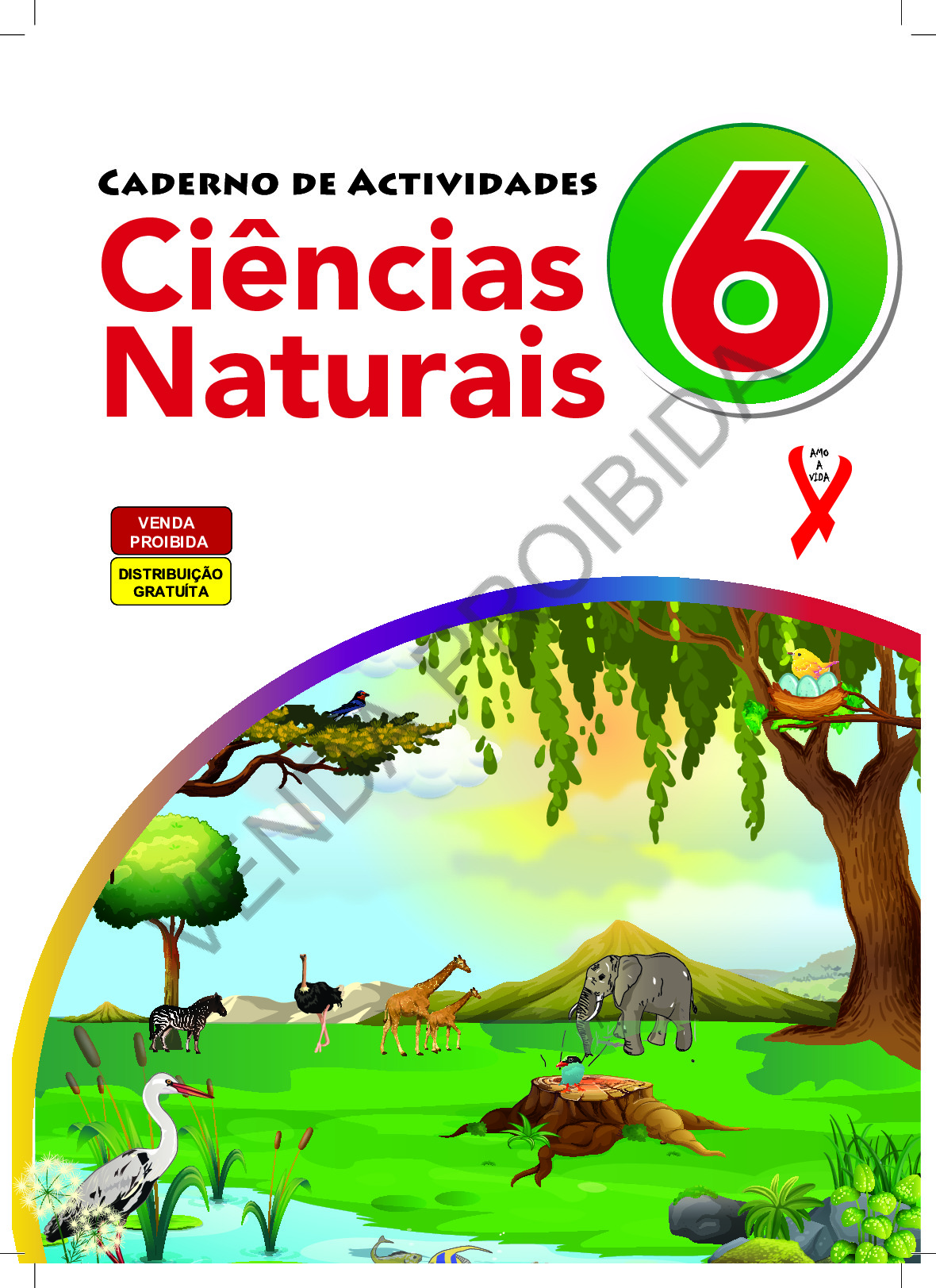 Ciências Naturais da 6ª Classe (Caderno de Actividades – Moçambique 2024) Baixar Livro em PDF