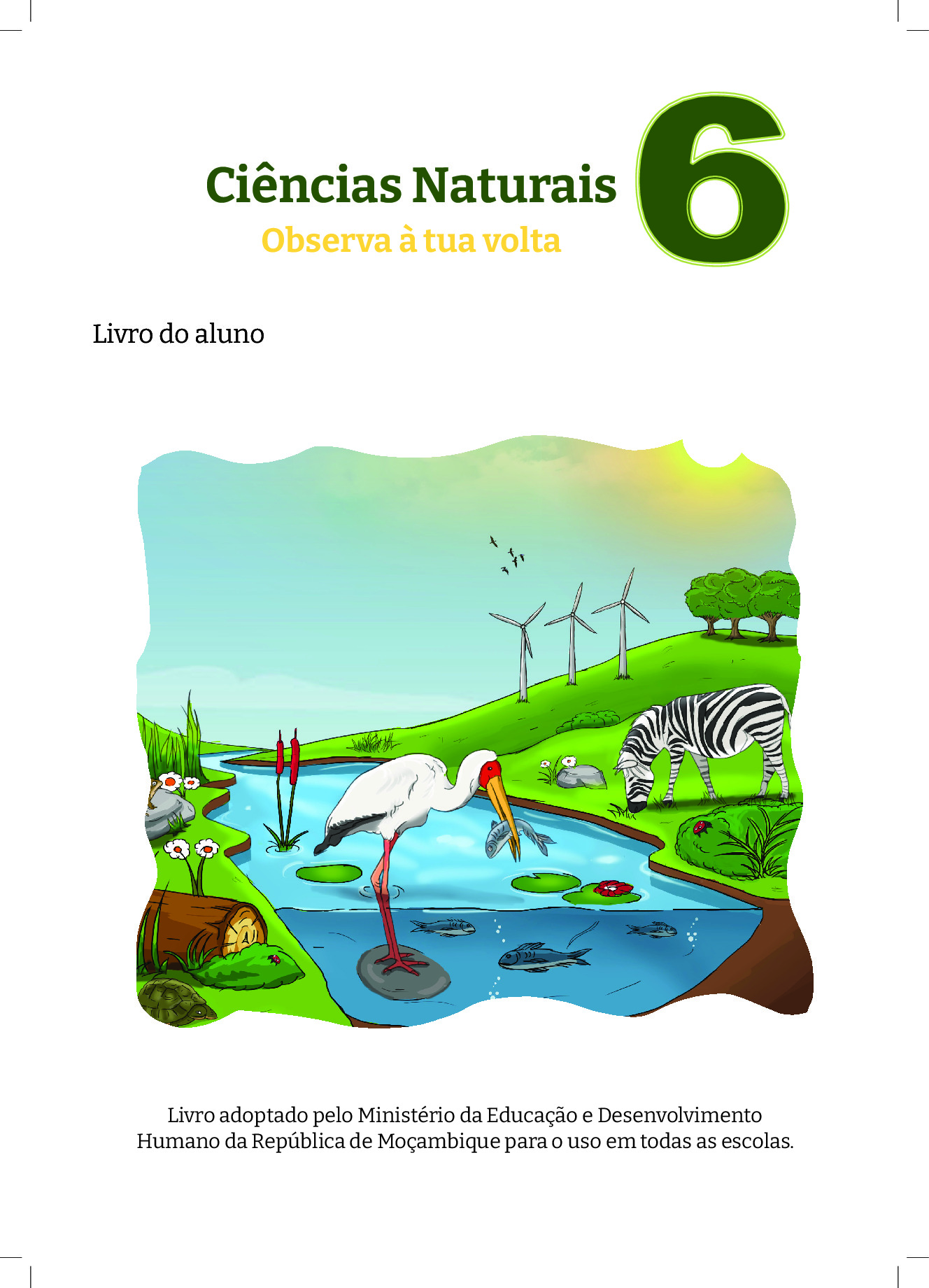 Ciências Naturais da 6ª Classe (MINEDH Moçambique 2024) Baixar Livro em PDF
