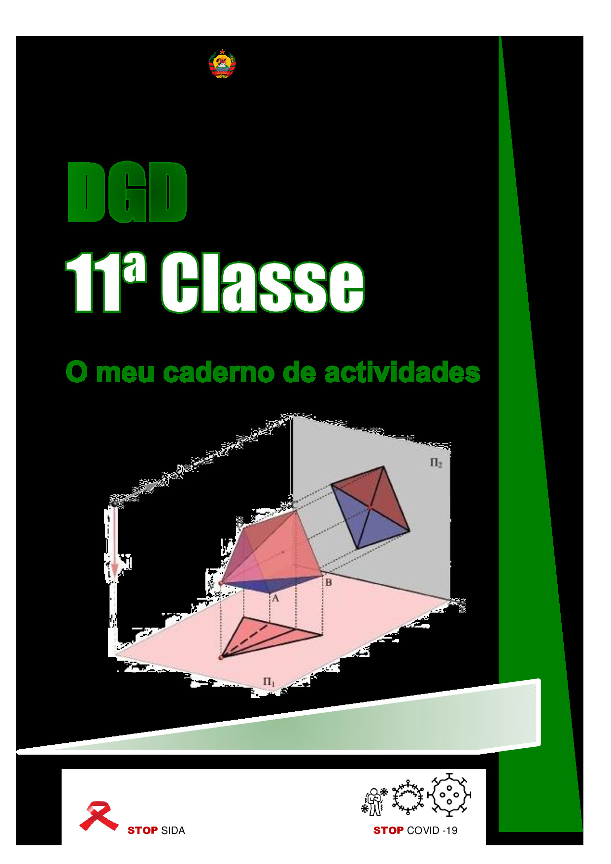 DGD da 11ª Classe (O Meu Caderno de Actividades - Moçambique; 2021) Baixar Livro em PDF