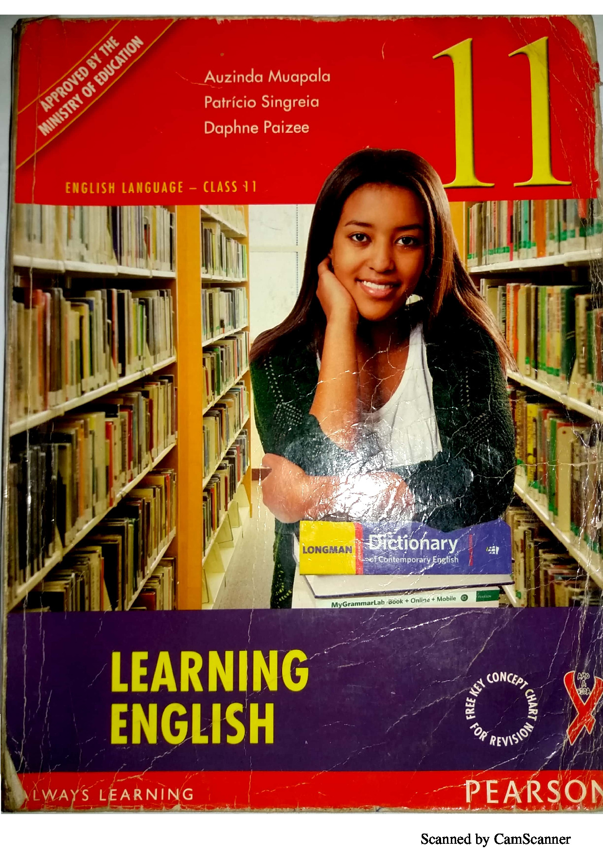 Inglês da 11ª Classe (Pré-Universitário - Pearson Moçambique) Baixar Livro em PDF